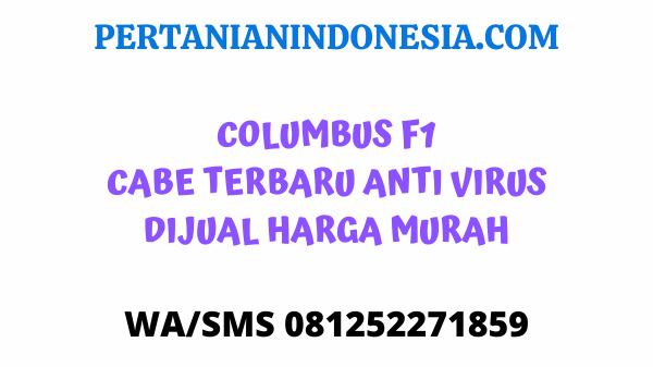 Columbus F1 Cabe Terbaru Anti Virus Di Jual Harga Murah